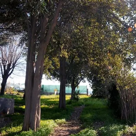 Sole E Mare Villa Su Forti